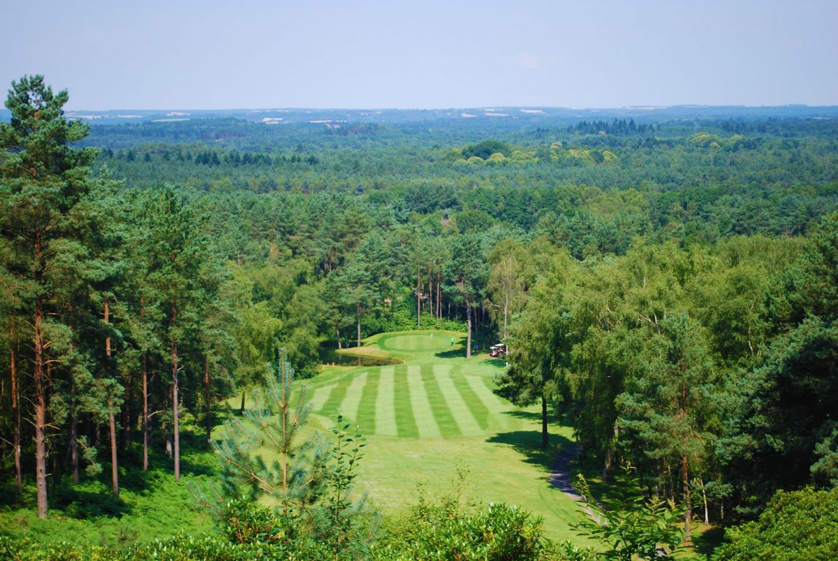 A stunning par three hole on Old Thorns Golf Course, Hampshire, England