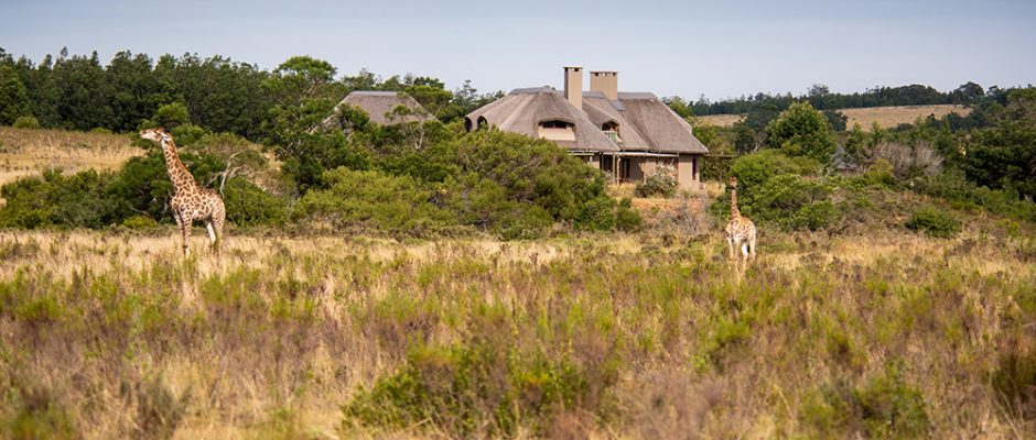 A Bush villa at Gondwana Game Reserve, South Africa