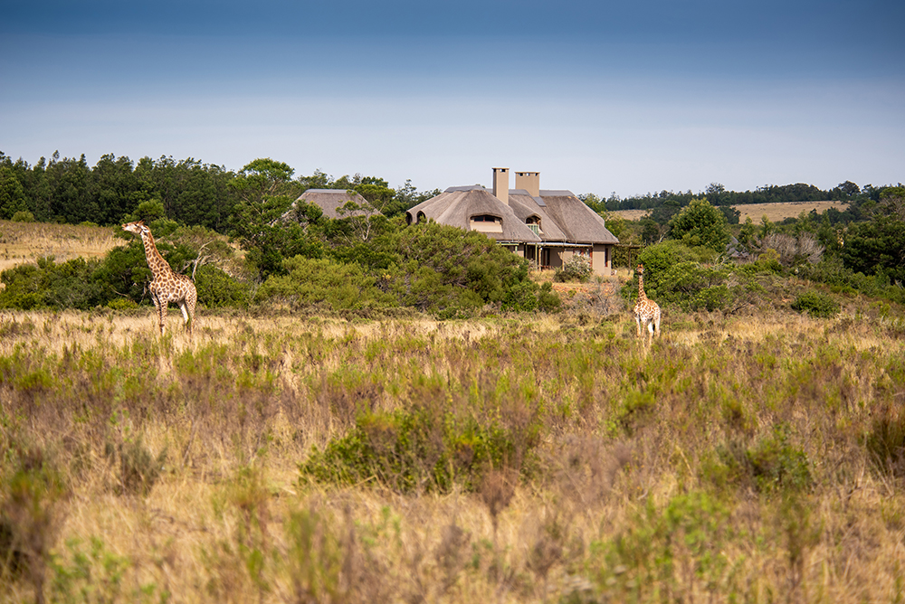 A Bush villa at Gondwana Game Reserve, South Africa