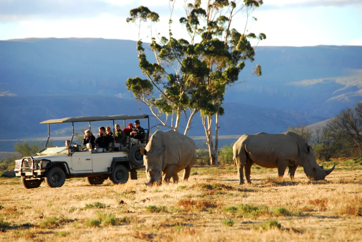 The Western Cape sightseeing excursions - Image 8