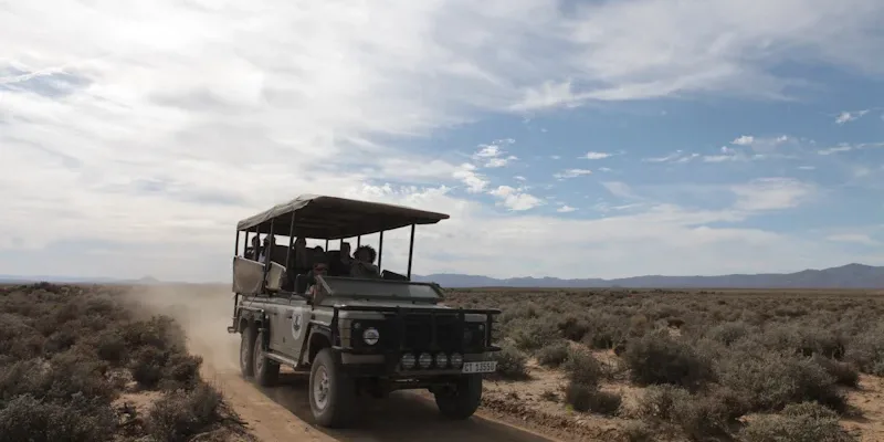 Enjoy a safari excursion on the Western Cape, South Africa with Golf Planet Holidays