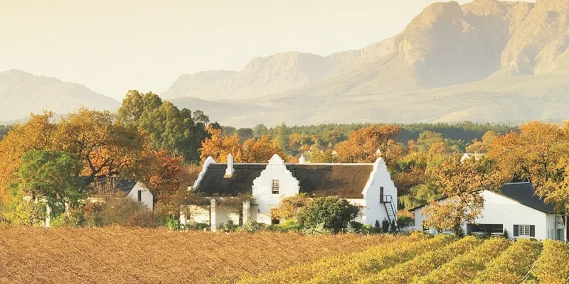 Visit a wine farm on a sightseeing trip of the Western Cape with Golf Planet Holidays