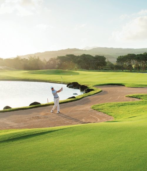 Heritage Le Telfair Golf & Wellness Resort ***** — photo 17
